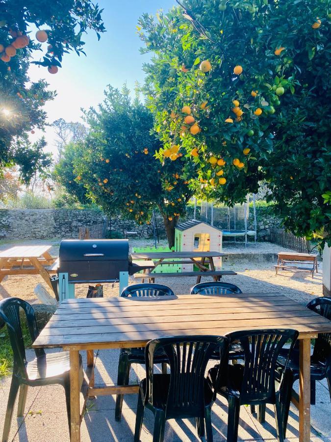 Apartment Quinta De Areias Crespos Eksteriør bilde