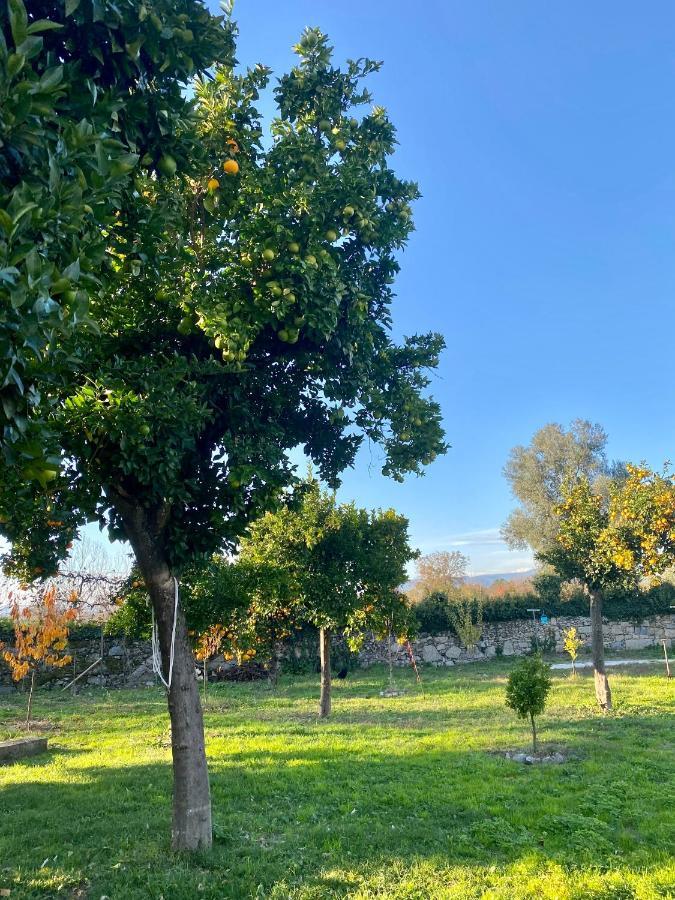 Apartment Quinta De Areias Crespos Eksteriør bilde